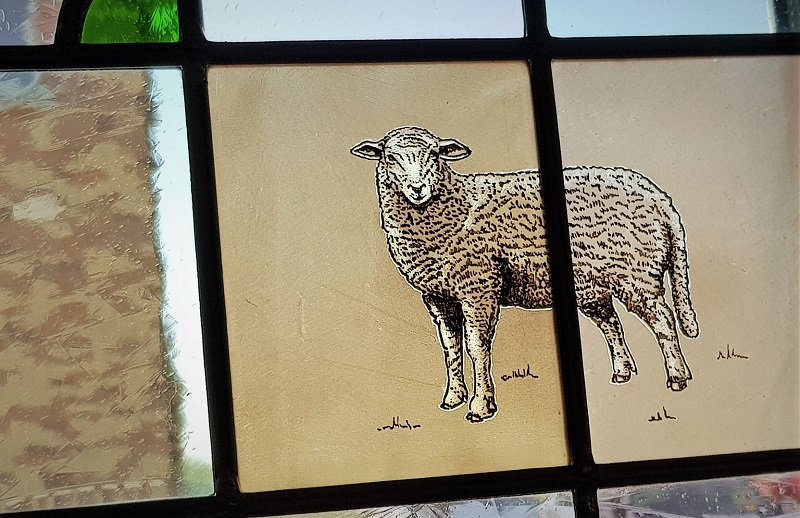 Veluws Heideschaap